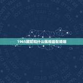 1965属蛇和什么属相最配婚姻(如何选择婚姻对象)