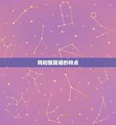 狗与猴属相婚配合不合(星座学家的解读)