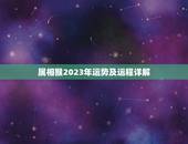 属相猴2023年运势及运程详解(猴子迎来好运)