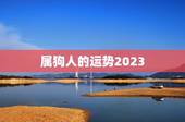 属狗人的运势2023(狗年大展宏图)