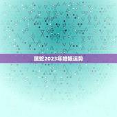 属蛇2023年婚姻运势(浪漫之年爱情甜蜜婚姻稳定)
