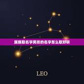 属猴取名字男孩的名字怎么取好听(如何给属猴男孩取一个有意义的名字)