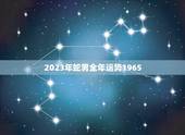 2023年蛇男全年运势1965(事业财运双丰收)