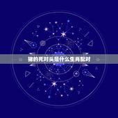 猪的死对头是什么生肖配对(十二生肖相克详解)