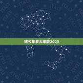 猪今年多大年龄2023(详解猪年龄计算方法及相关知识)