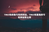 1963年的兔今年的财运，1963年属兔的今年财运怎么样