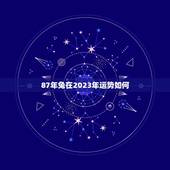 87年兔在2023年运势如何？(详解兔年运势及吉凶分析)