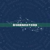 属马和属兔的合不合得来(十二生肖配对分析)