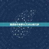 属虎的今年多大了2023年几岁(属虎人士如何应对未来两年的生肖运势)