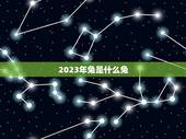 2023年兔是什么兔 哪几约好(详解兔年运势及吉日吉时)