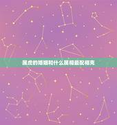 属虎的婚姻和什么属相最配相克(如何避免婚姻矛盾)