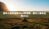 属牛人兔年运势2023年运程，属牛人兔年运势2022