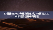 83属猪的2023年运势怎么样，83属猪人2023年运势运程每月运程