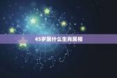 45岁属什么生肖属相(解密你的生肖是什么)