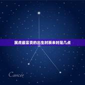 属虎最富贵的出生时辰未时是几点(介绍属虎人的财运奥秘)