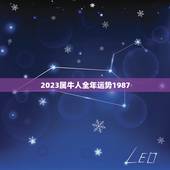 2023属牛人全年运势1987(顺风顺水财运亨通)