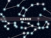 金星落哪宫比较最漂亮(探寻星座之美)