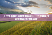 十二生肖每日运势查询2023，十二生肖每日运势查询2023年运程