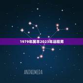 1979年属羊2023年运程男(运势大介绍)