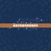 属鼠女和属鸡男婚姻如何(介绍相性、优缺点)