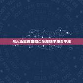 射手男和什么星座最配(星座大介绍配对是TA)