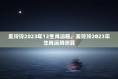 麦玲玲2023年12生肖运程，麦玲玲2023年生肖运势测算