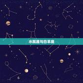 水瓶座最匹配星座配对(探寻组合)