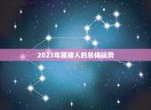 属猪2023吉星凶星(猪年运势大介绍)