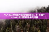 牛人2023年运势运程每月运程，61年属牛人2023年运势运程每月运程
