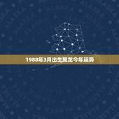 1988年3月出生属龙今年运势(事业顺遂感情稳定)