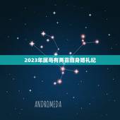 2023年属马有两喜缠身婚礼纪(双喜临门马年大婚盛典)