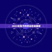 兔子今年的财运怎么样(2023年兔子的财运展望)