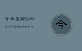 今年属猪的命运，今年属猪的命运如何?