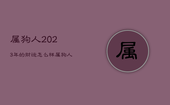 属狗人2023年的财运怎么样，属狗人在2023年的全年运势