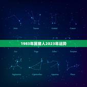 1983年属猪人2023年运势(猪年大吉财运亨通)