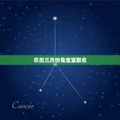 农历三月份兔宝宝取名(给兔宝宝取名的方法和注意事项)