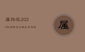 属狗在2024年运势怎么样，生肖狗在2024年的运势以及注意月份