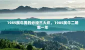 1985属牛男的必经三大坎，1985属牛二婚哪一年