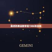 属虎的幸运数字是1986年出生(介绍如何利用幸运数字提升运势)