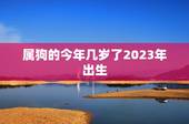 属狗的今年几岁了2023年出生(如何预测未来的运势)