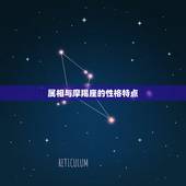 摩羯座什么属相最聪明(介绍哪个属相的摩羯座最聪明)