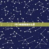 1977年属兔是什么命(详解属兔人的性格和命运)