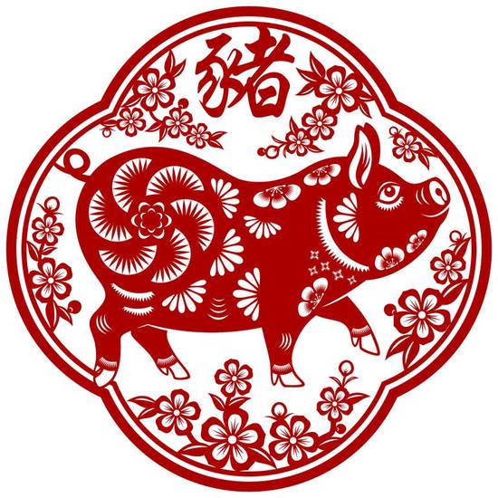 1971年属猪的多大岁数(猪年人的年龄计算方法解析)