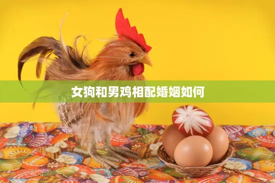 女狗和男鸡相配婚姻如何(探讨异类婚姻的可能性)