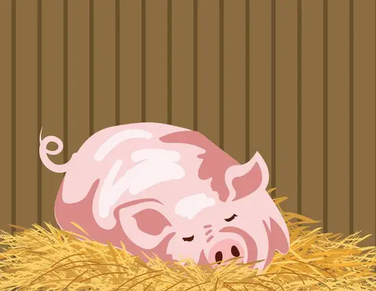 2023年六七月份猪价(预计稳中有降)