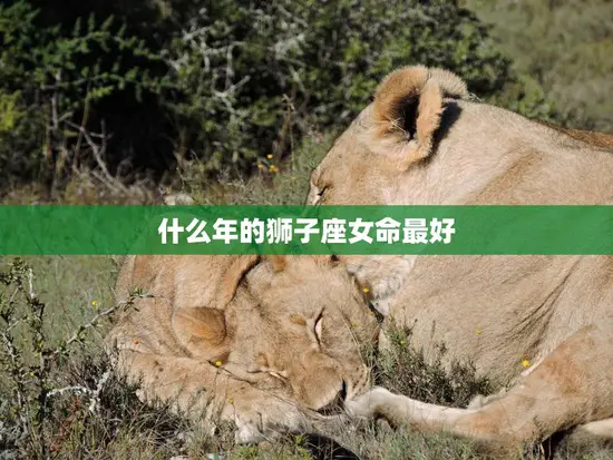 什么年的狮子座女命最好(揭秘狮子座女命的黄金时期)