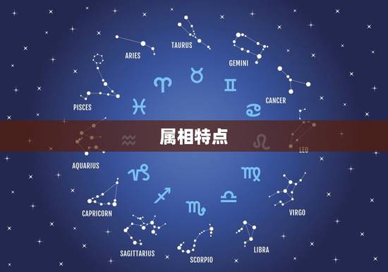 属相特点