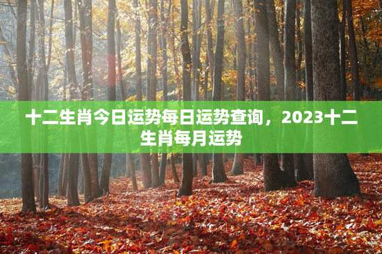 十二生肖今日运势每日运势查询,2023十二生肖每月运势 十二生肖今日运势每日运势查询,2023十二生肖每月运势