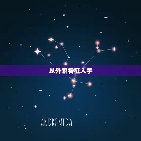 从外貌特征入手