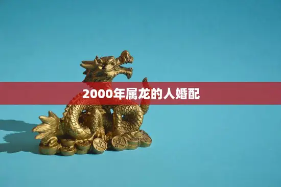 2000年属龙的人婚配(如何选择最佳配偶)